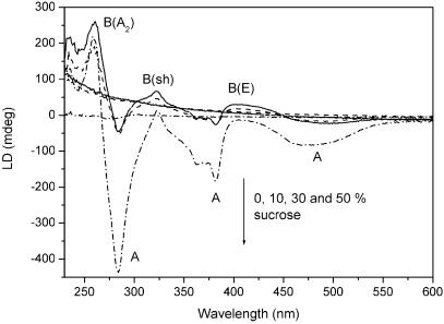 Fig 3.