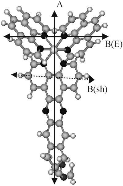 Fig 1.