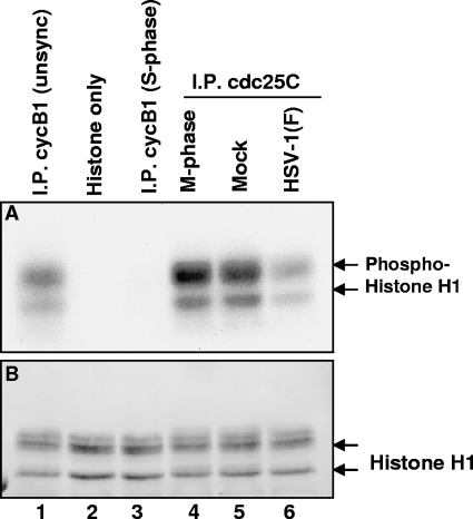 FIG. 8.