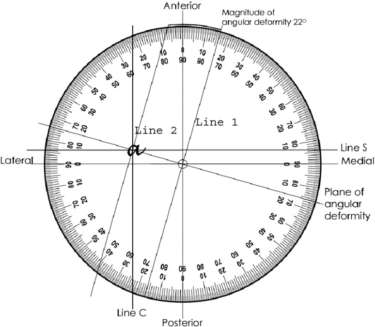 Fig. 3