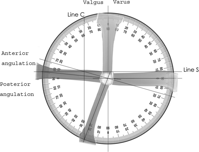 Fig. 1