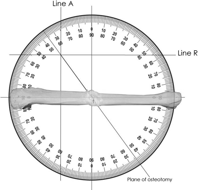 Fig. 5