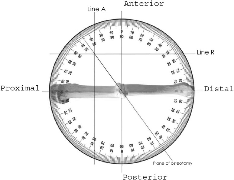 Fig. 4