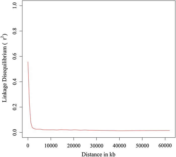 Fig. 1