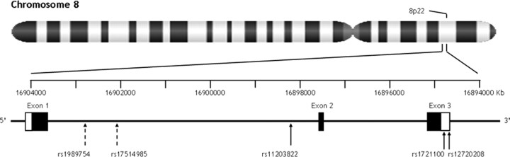 Figure 1.