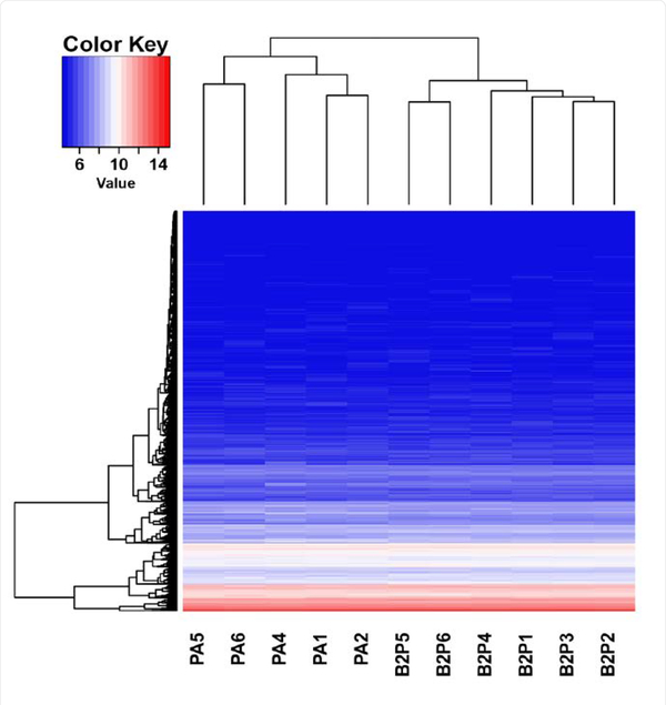 Figure 2: