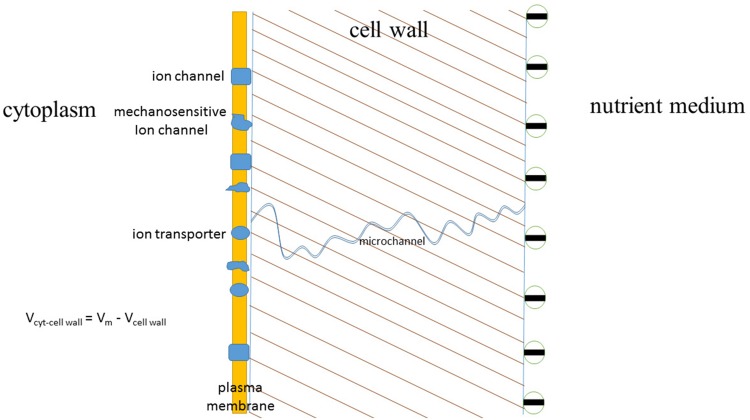 FIGURE 9