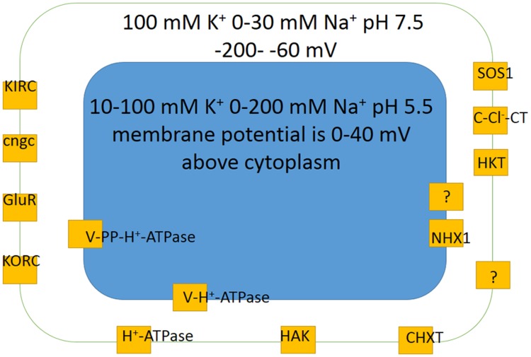 FIGURE 6