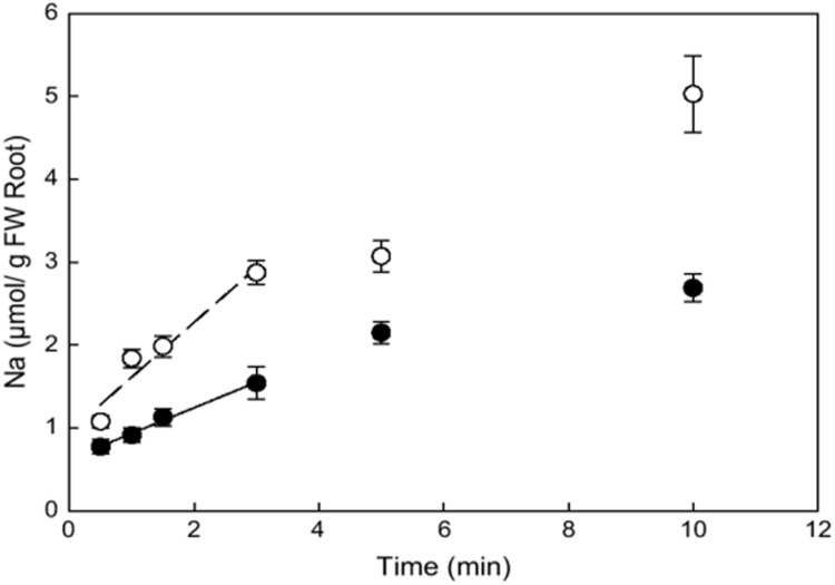 FIGURE 3