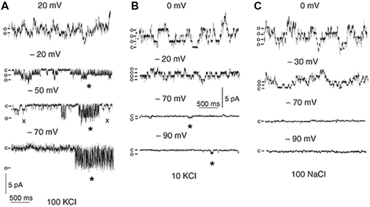 FIGURE 10