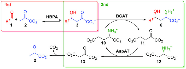 Scheme 6