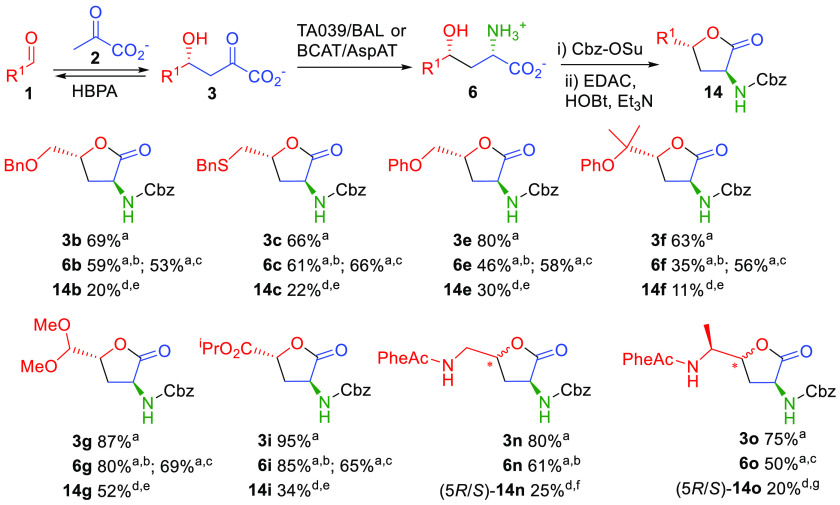 Scheme 7