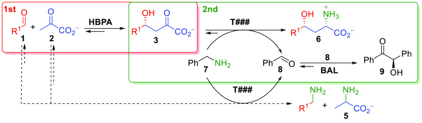 Scheme 5