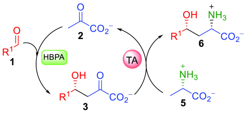 Scheme 4