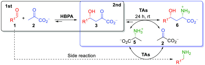 Scheme 3