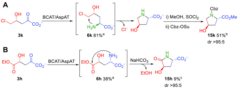 Scheme 8