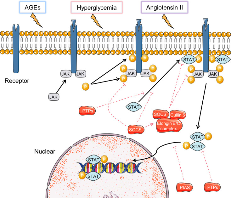 Figure 4