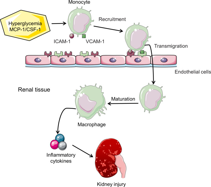 Figure 2