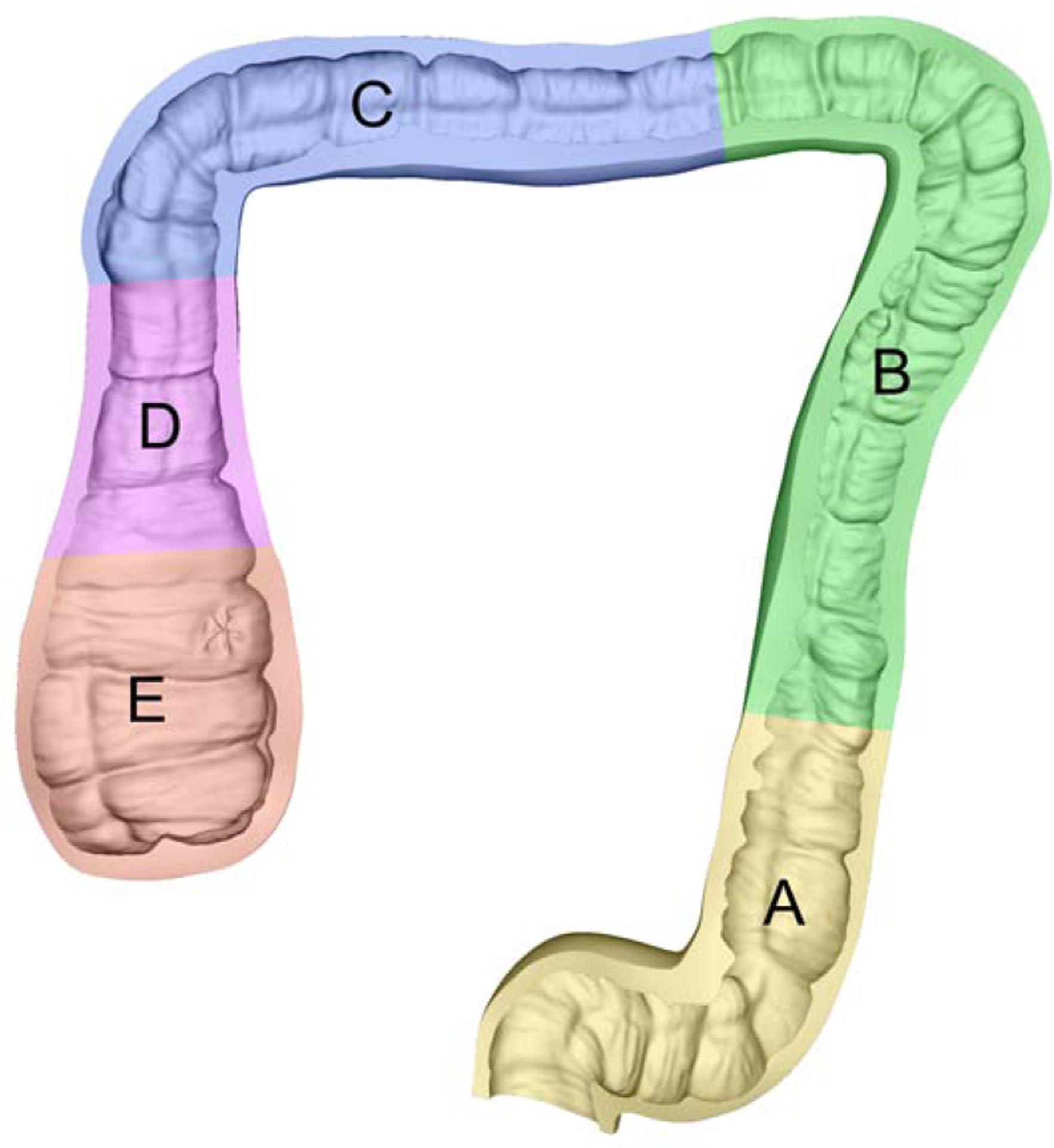 Fig. 5: