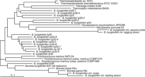 FIG. 2.