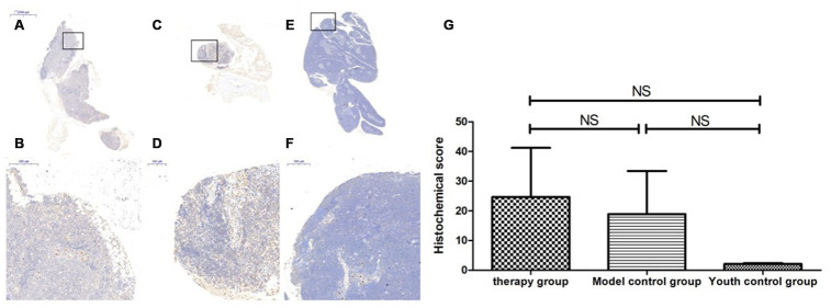 Figure 17