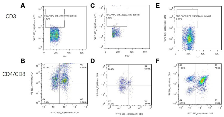 Figure 22