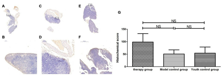 Figure 18