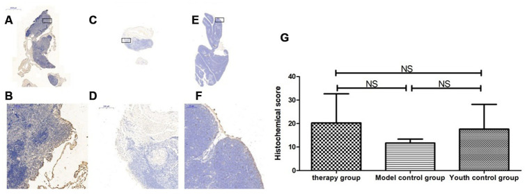 Figure 21