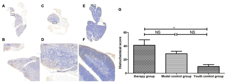 Figure 20