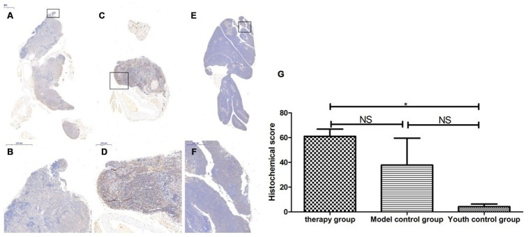 Figure 16