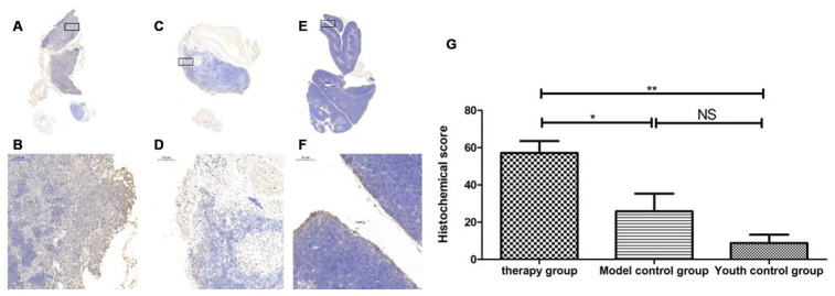 Figure 19