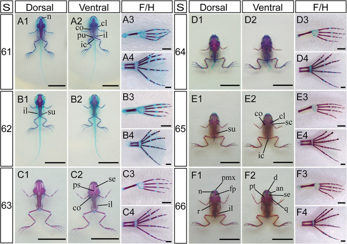 FIGURE 15