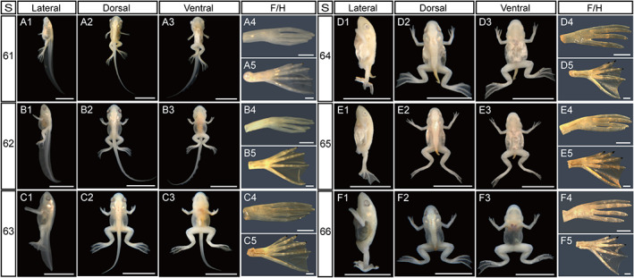 FIGURE 14