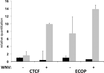 Fig 5