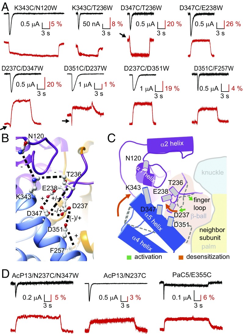 Fig. 4.