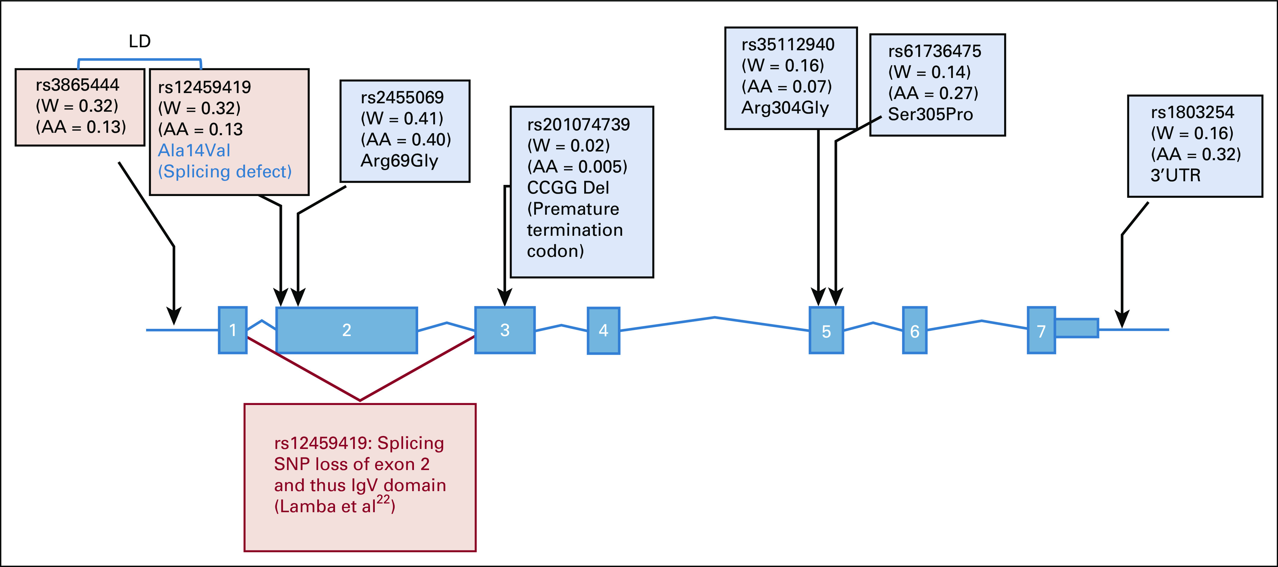 FIG 1.