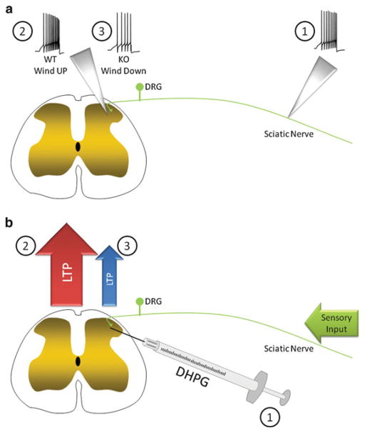 Fig. 4.2