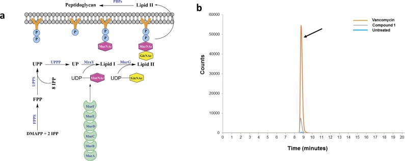 Fig 6