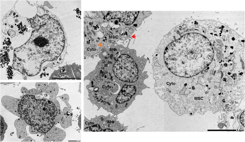 Fig. 2