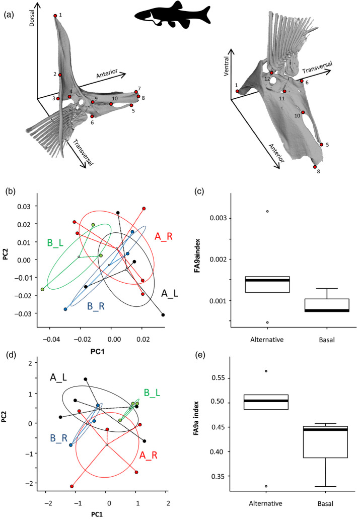 FIGURE 2