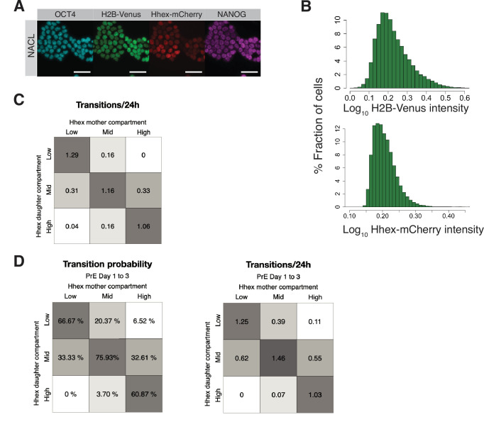 Figure 4—figure supplement 1.