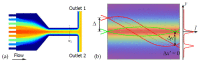 Figure 29