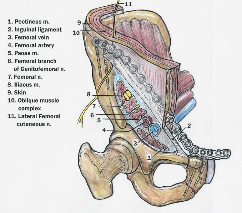 Fig. 3