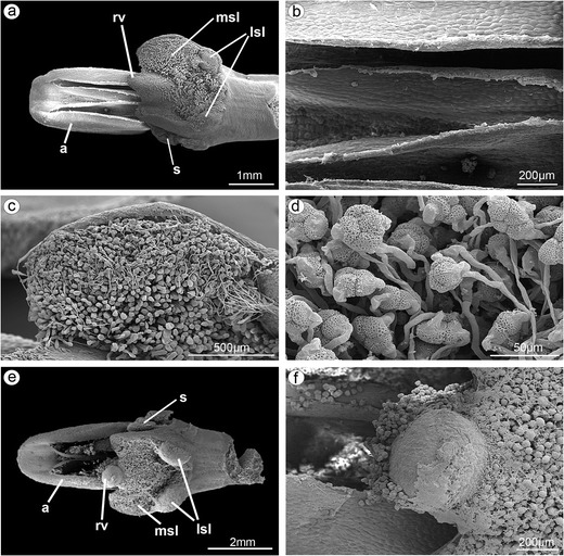 Fig. 12