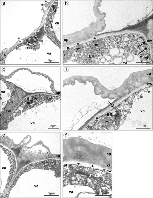 Fig. 8