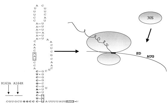 FIG. 9.