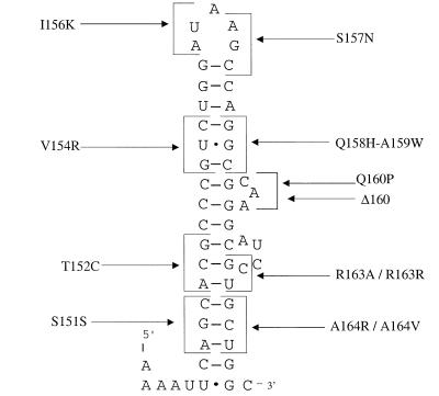 FIG. 5.