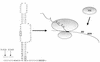 FIG. 9.