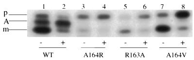 FIG. 7.