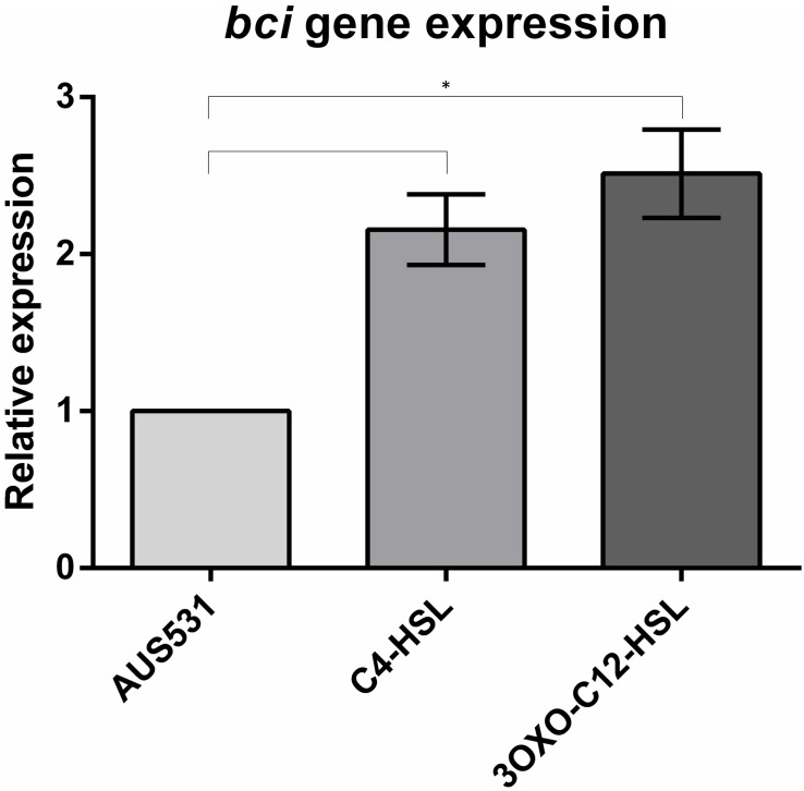 FIGURE 3